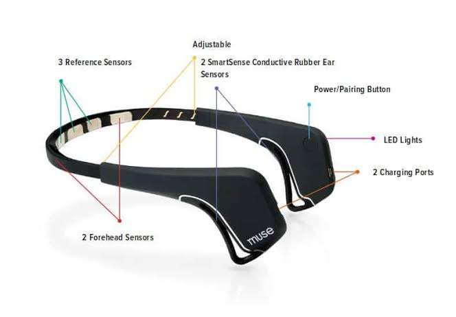 Brain sensors