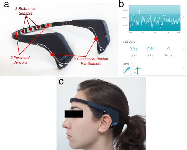 Brain sensors