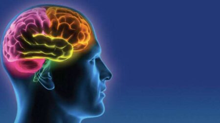 Brain Sensors | Full Simple Explanation