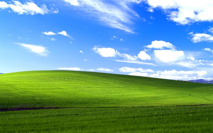 Facts about insurance
Microsoft iconic hill wallpaper windows 7