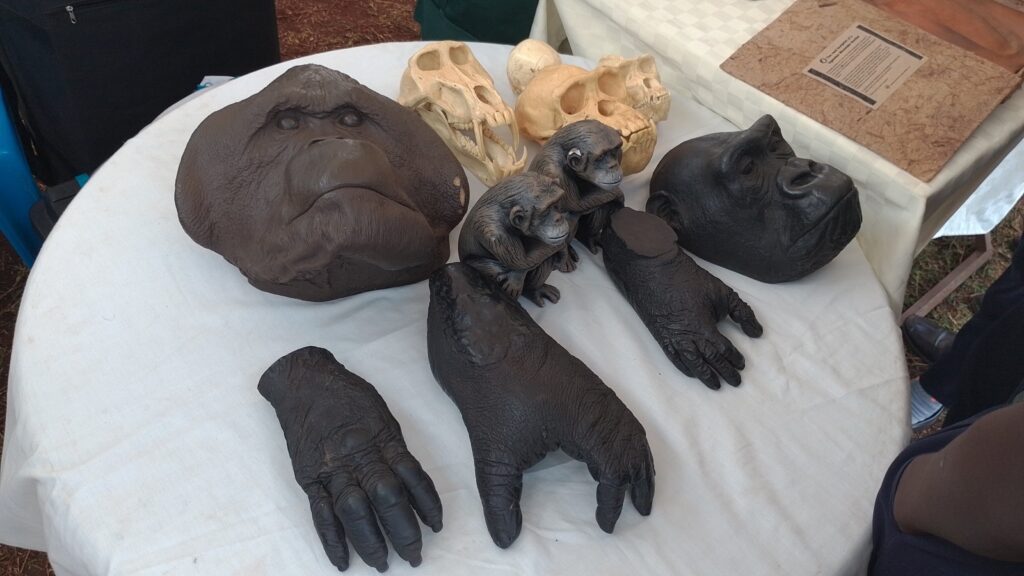 World Wildlife Day 2023: Celebrating Conservation Efforts and Touring Tororo Rock in Uganda 3 World Wildlife Day 2023: Celebrating Conservation Efforts and Touring Tororo Rock in Uganda