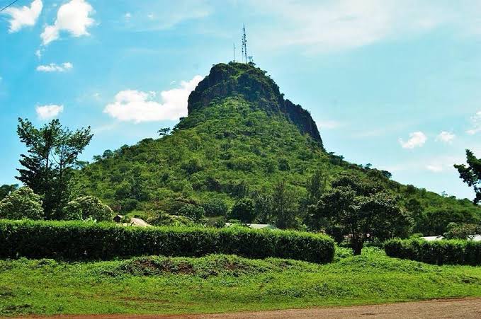 World Wildlife Day 2023: Celebrating Conservation Efforts and Touring Tororo Rock in Uganda 2 World Wildlife Day 2023: Celebrating Conservation Efforts and Touring Tororo Rock in Uganda