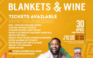 blankets and wine