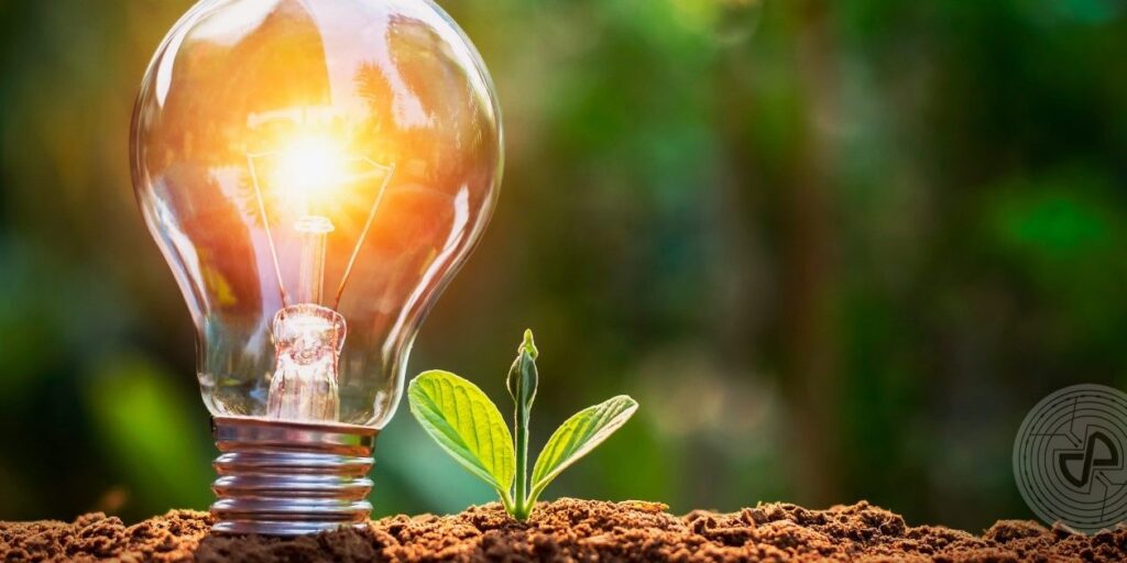 Conserving Electricity bulb lighting near sprouting plant