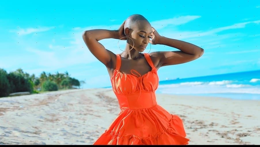 Judith Heard Shines in Koffi Olamide's Music Video "Andress"