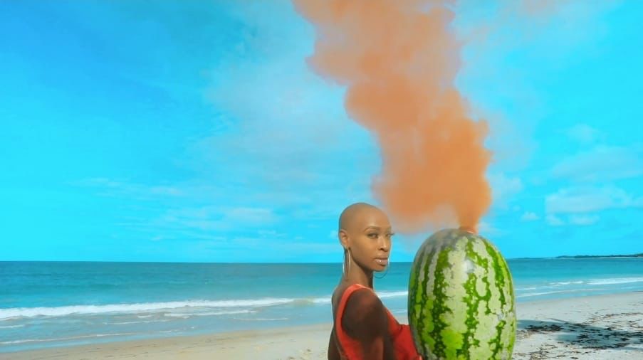 judith heard in music video