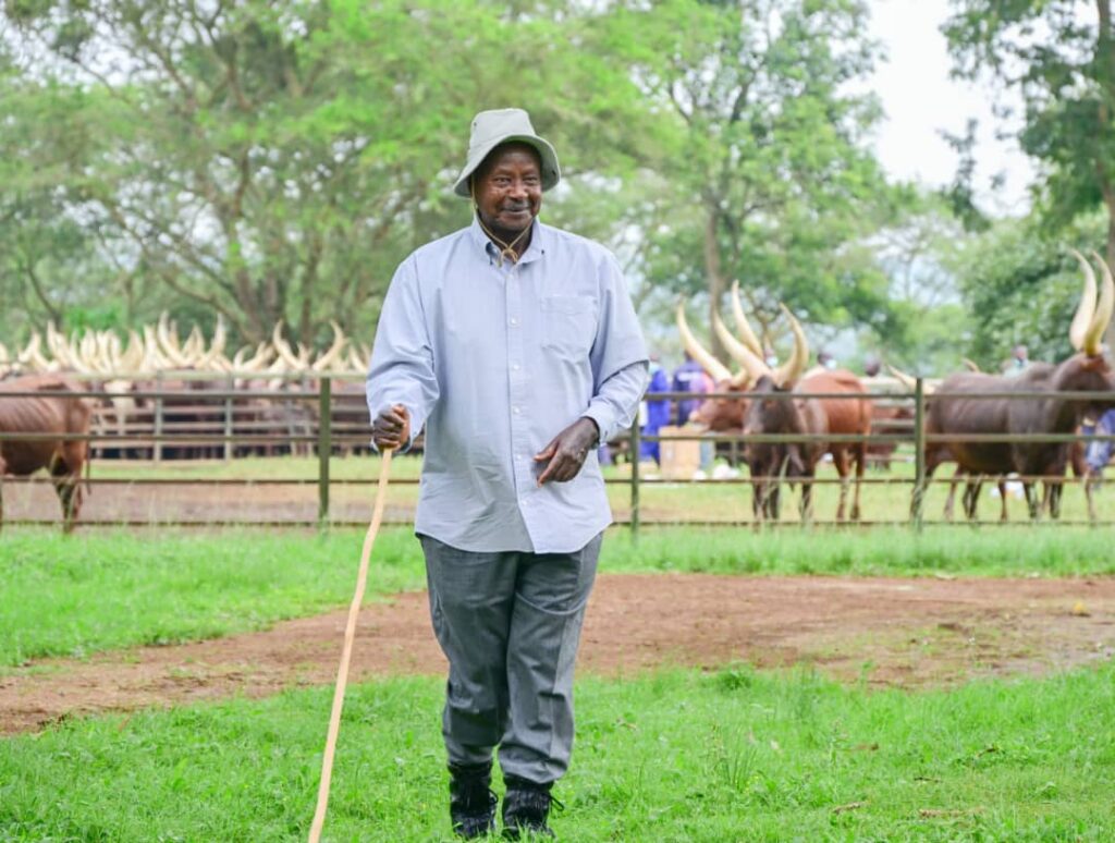 President Museveni and His Hypnotic Unmatched 1986 Tactics president museveni