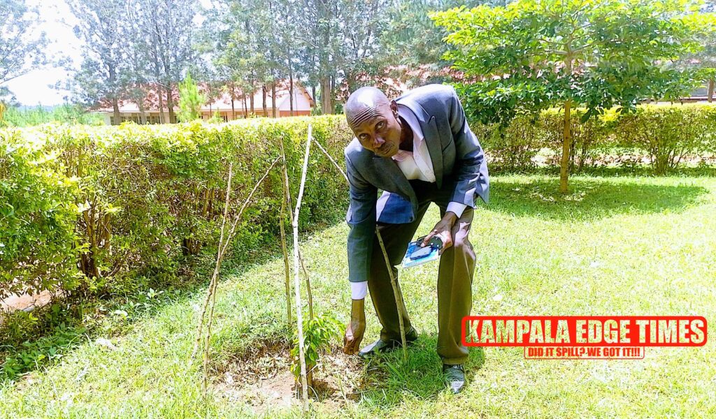 Planting trees 