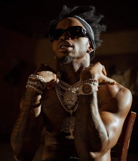 Diamond Platnumz | Horrific Stage Entry