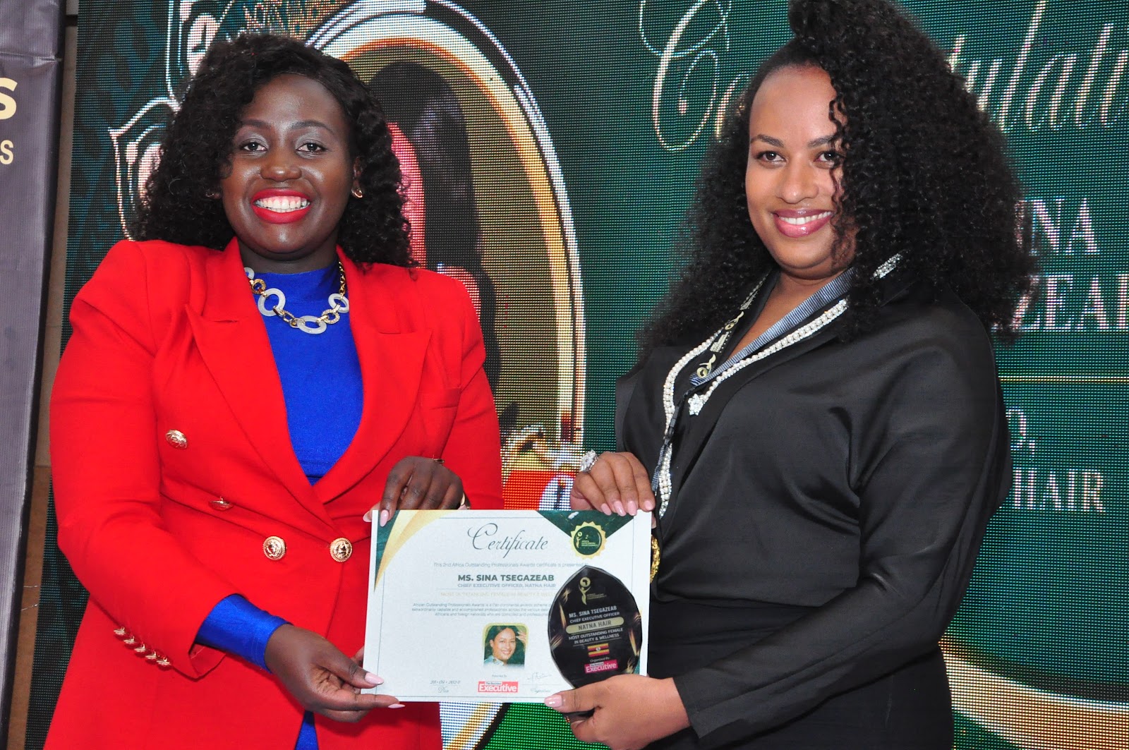 Sina Tsegazeab Takes Beauty and Wellness Award at AFROPA 5 natna hair ceo wins award