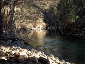 Poem: The Sounds of Koria by Musema Edmond THE SOUNDS OF KORIA
