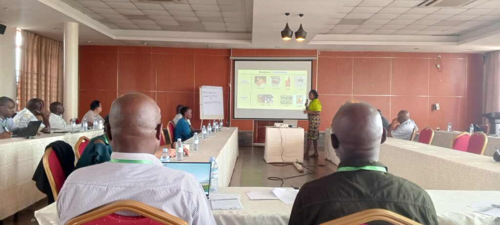 NARO, NaSARRI Launch New Sorghum Fortified Products 1 Naro sorghum biofortofication