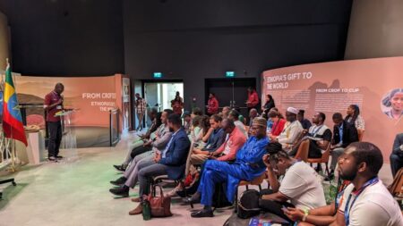 African Youth Summit on Food Systems