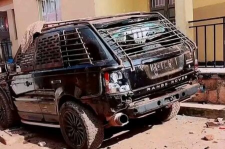 Fearlessly, Pallaso Storms Fangone Forest Fearlessly, Pallaso Storms Fangone Forest