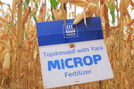 Growing Prosperity: Yara’s Commitment to Transforming Farmers’ Livelihoods in Uganda