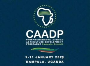 CAADP Kampala Summit 2025 Kicks Off, Rethinks Hunger