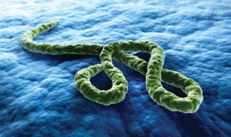 Deadly Sudan Ebola Virus Comfirmed in Kampala 2025