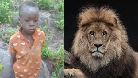 7-Year-Old Found Alive in Lion-Infested Matusadona National Park