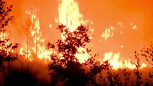 Kenya Airports Authority: JKIA Grassland Fire Successfully Contained, Airport Operations Unaffected Kenya Airports Authority: JKIA Grassland Fire Successfully Contained, Airport Operations Unaffected