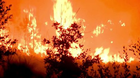 Kenya Airports Authority: JKIA Grassland Fire Successfully Contained, Airport Operations Unaffected