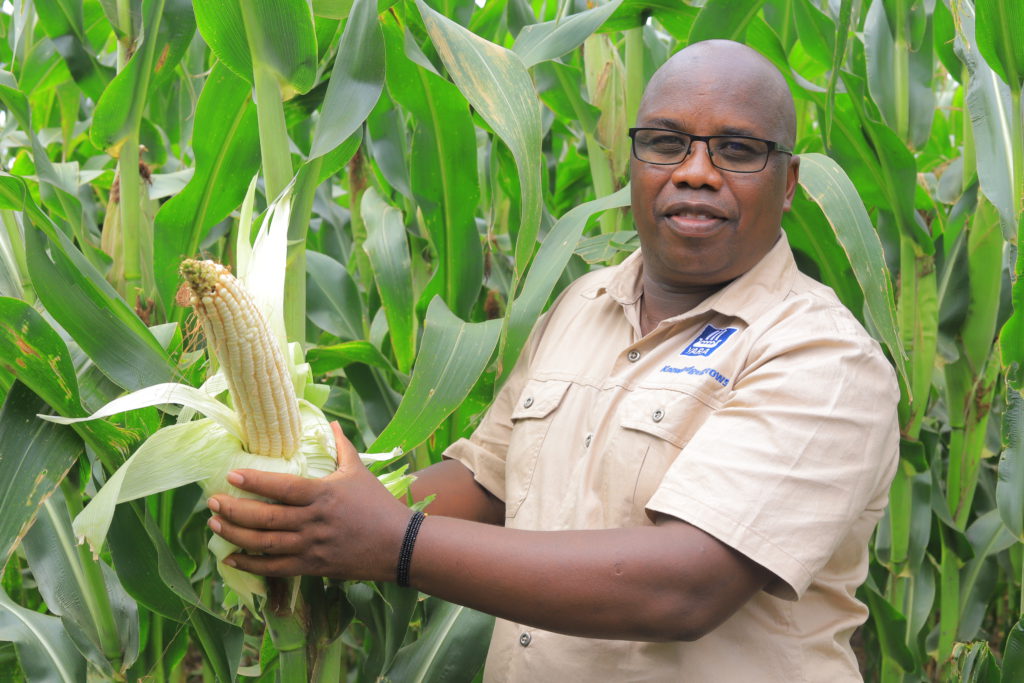 Unlocking Uganda’s Agricultural Potential: A Targeted Approach to Women and Youth By John Meshach, Commercial Manager, Yara East Africa