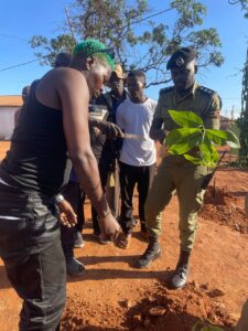 Green Daddy Foundation Expands ‘Tree Plus’ Initiative Nationwide Green Daddy Foundation Expands 'Tree Plus' Initiative Nationwide