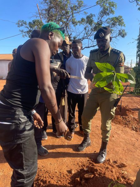 Green Daddy Foundation Expands 'Tree Plus' Initiative Nationwide