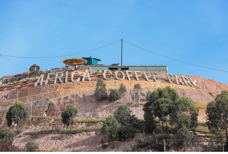 Diamond Platinumz, Bebe Cool, and Kenzo Spark Showbiz Magic at Ntungamo’s Coffee Marathon Concert