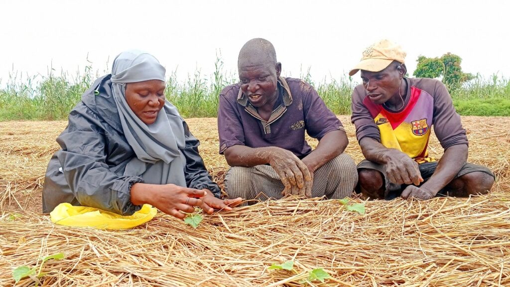Climate-Smart Vegetable Seeds set to drive Smallholder Resilience in Sahel and West Africa