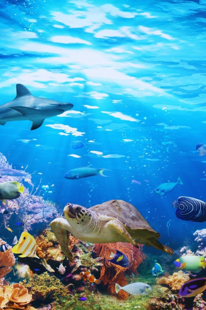 Uganda vs Kenya Indian Ocean Obsession Explained 4 Uganda vs Kenya Indian Ocean Obsession Explained