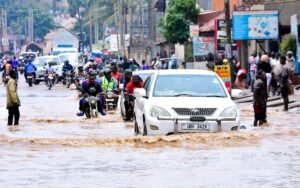 Kampala’s Wetlands Under Siege: How New Buildings Turn Rain into Disaster