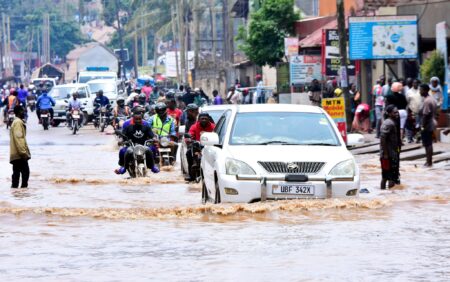 How New Buildings Turn Wetlands in Kampala into Disaster Kampala’s Wetlands Under Siege: How New Buildings Turn Rain into Disaster