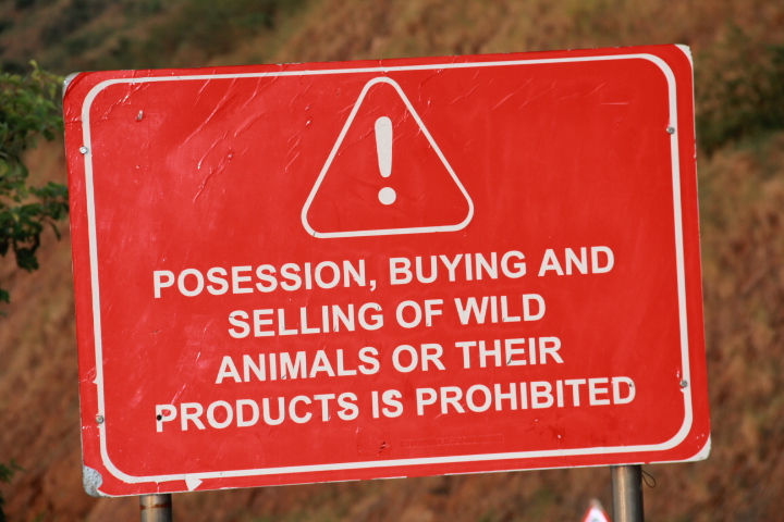 My trip to Kyangwali | A Tale of Nerves, Dust, new Nostalgia