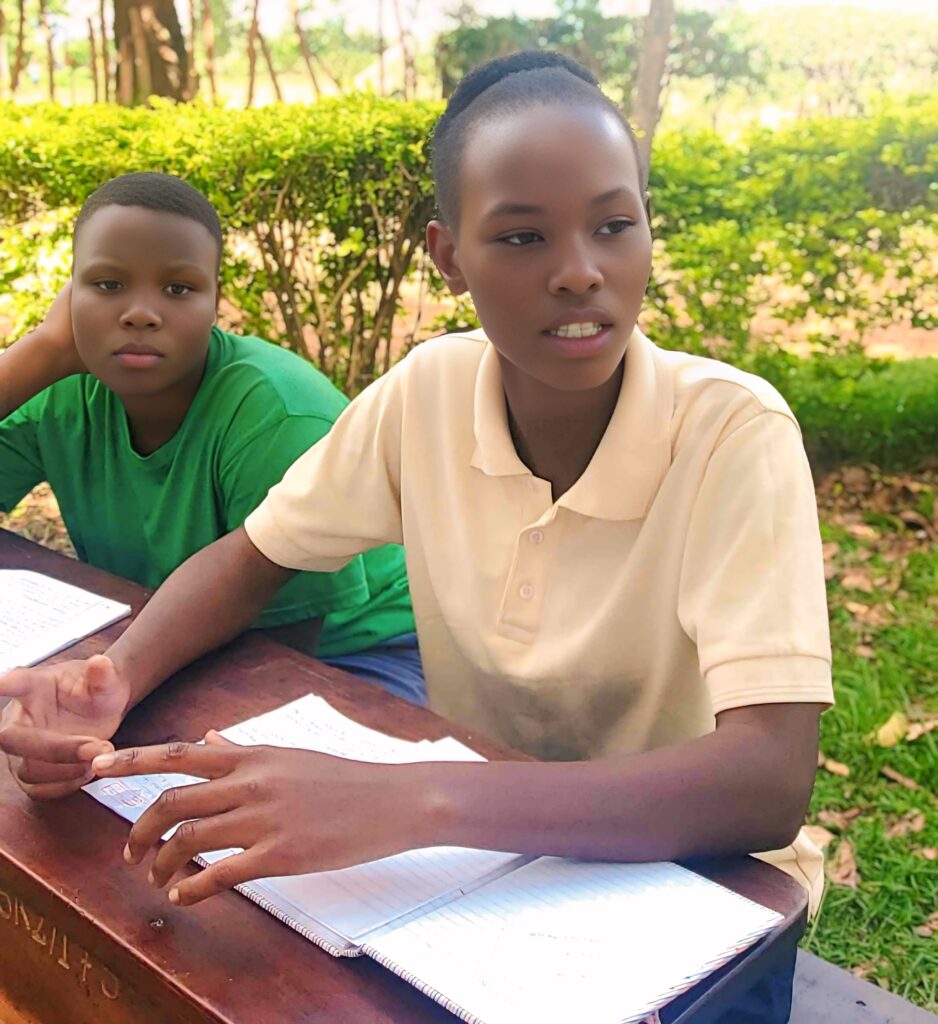 Students discuss Individual Project