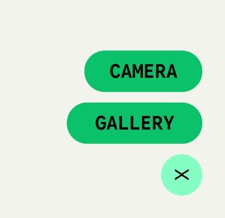 Google redesigns Snapseed 4.0 UI for photo editing lovers 6 Google redesigns Snapseed 4.0 UI for photo editing lovers
