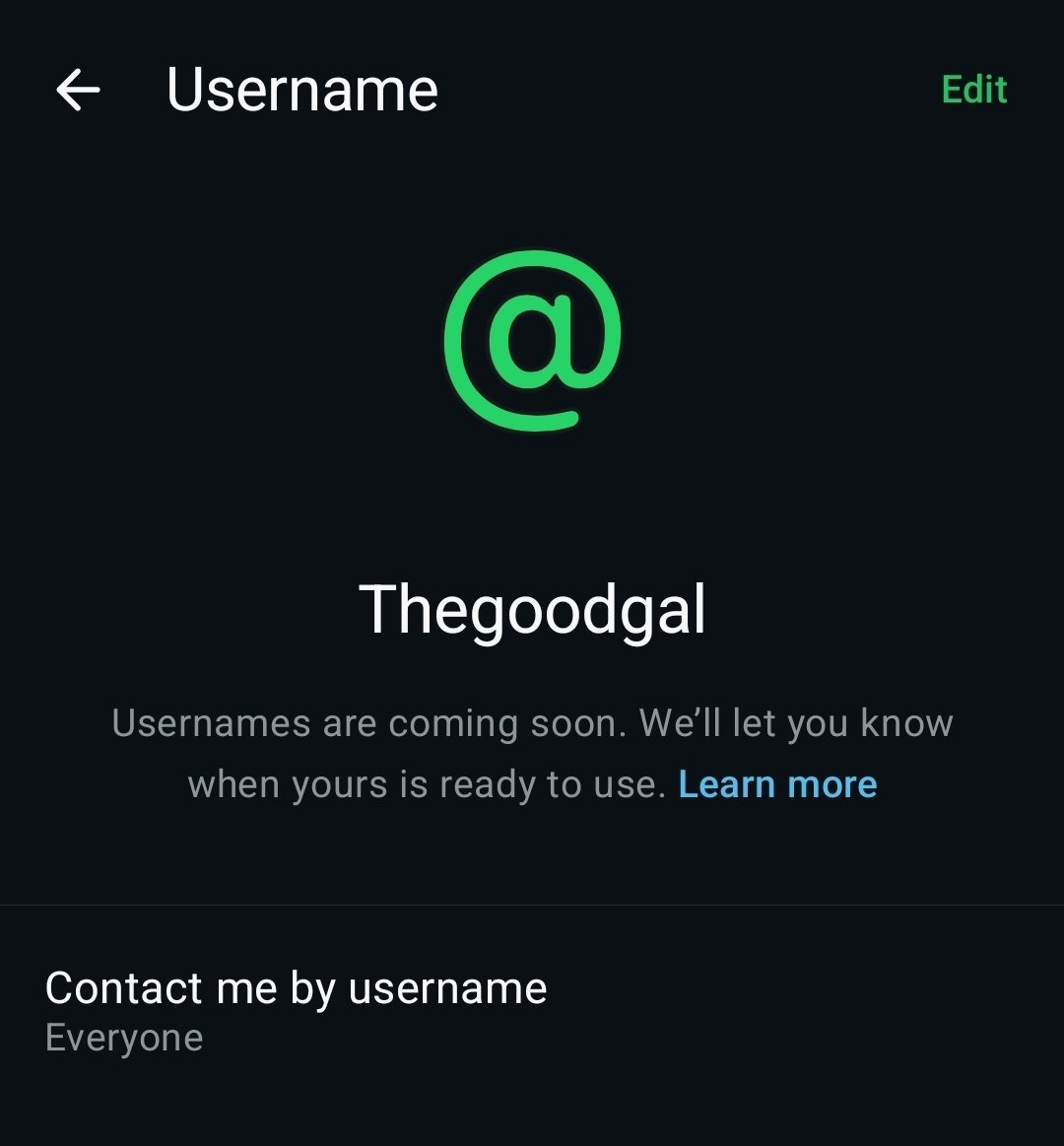 WhatsApp Usernames Launch worldwide in new update