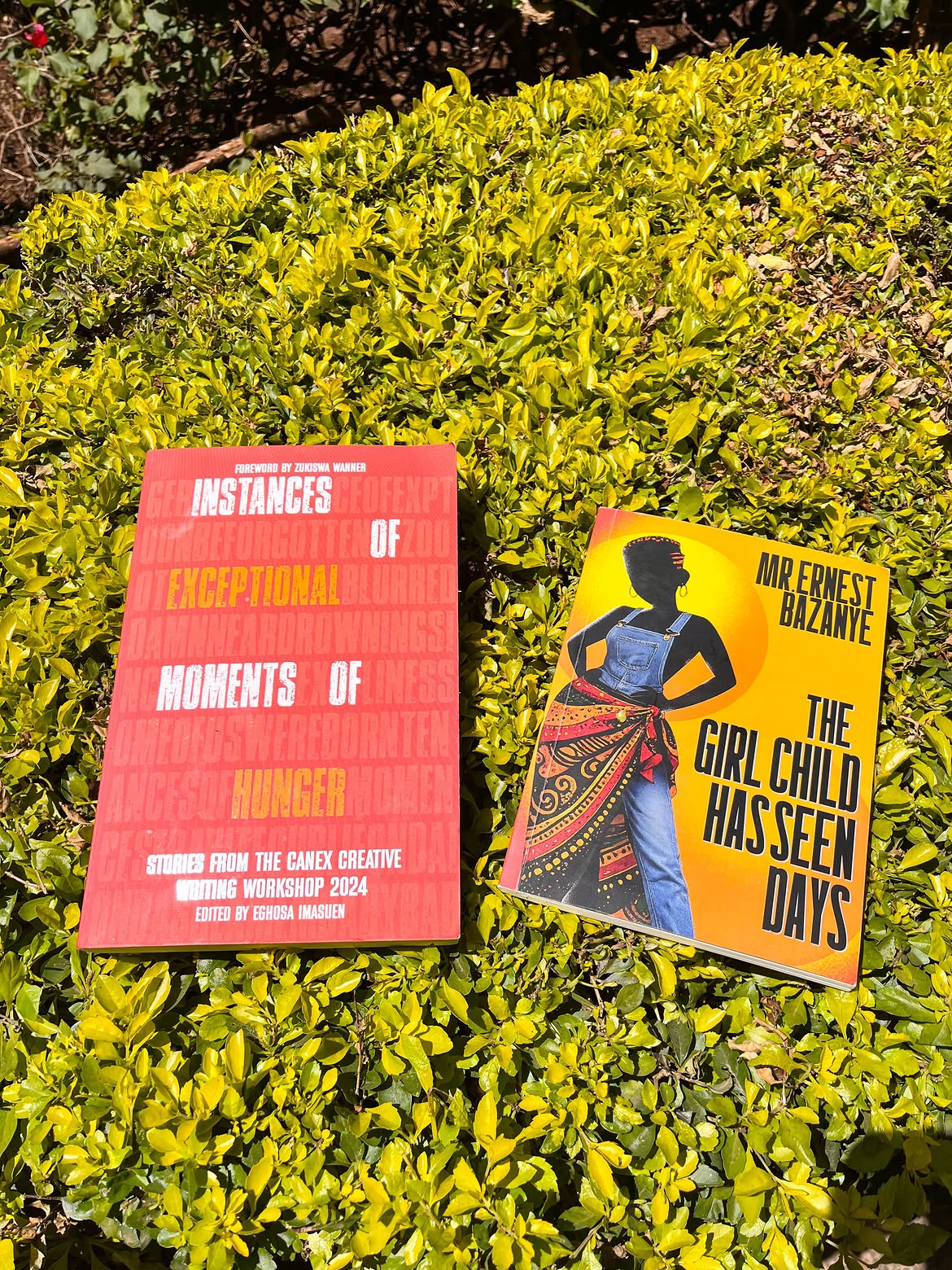Kampala Writes LitFest 2026 Closes with Poetry, AI Fights
