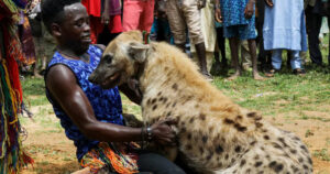 "A Dying Hyena Eats You After Healing" | Heartbreaking Lesson